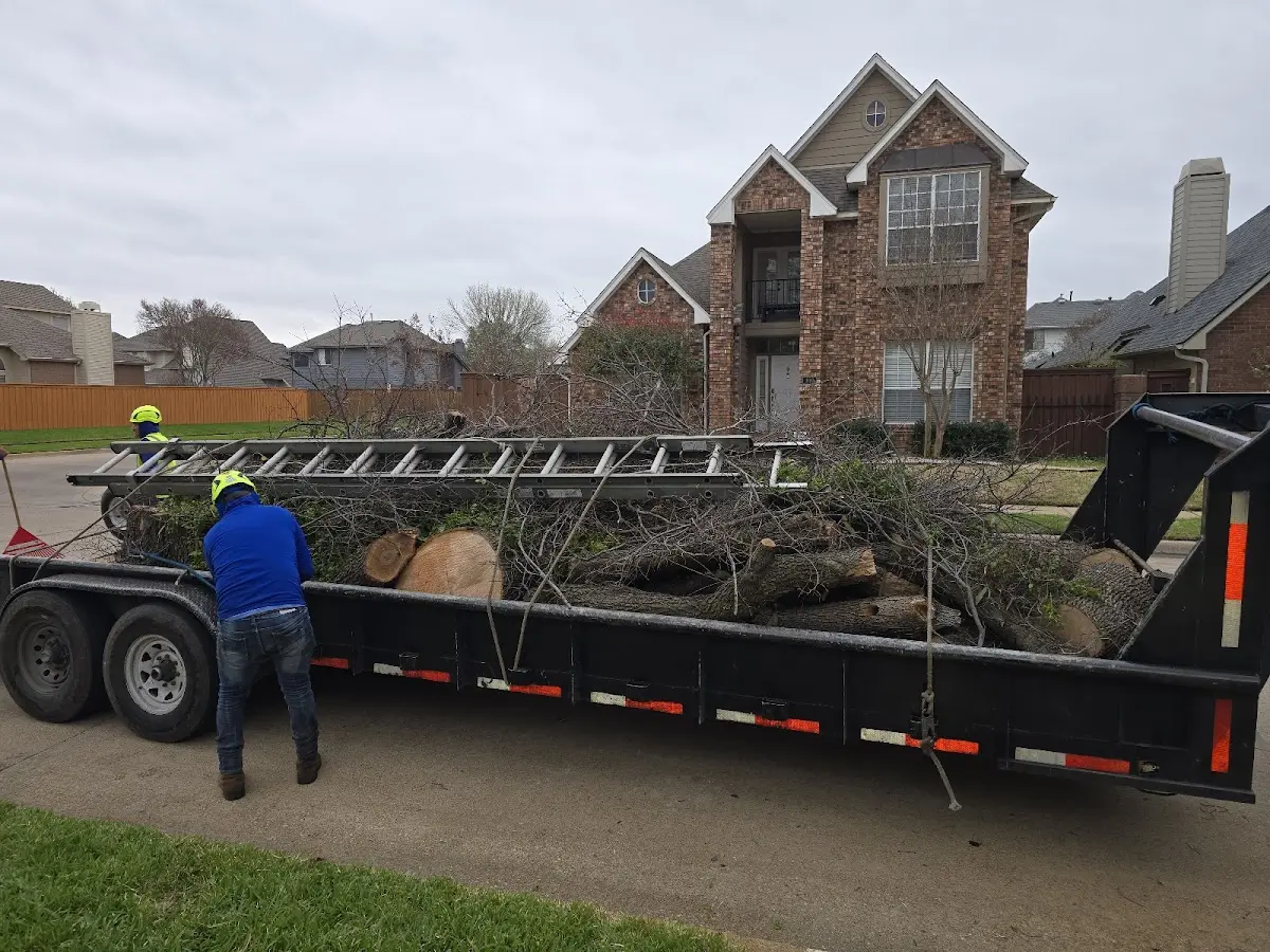 Expert Tree Fertilization with proper safety equipment in Cloverdale